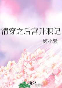 《清穿之后宫升职记》