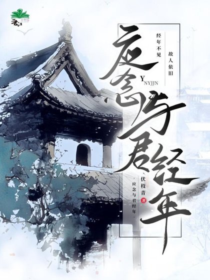 《应念与君经年》