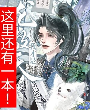 《我才是龙傲天》