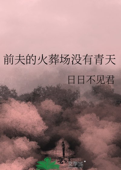 前夫的火葬场没有青天