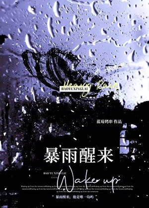《暴雨醒来》
