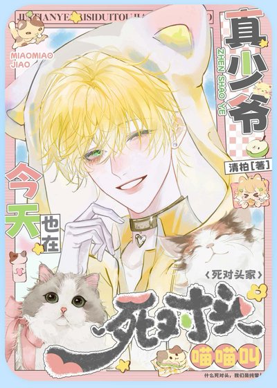 《真少爷今天也在死对头家喵喵叫》