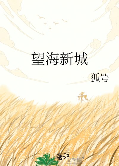 《望海新城》