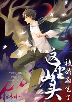 《这座山头被我承包了》