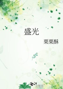 《盛光》