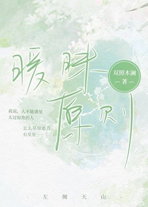 《暧昧原则》