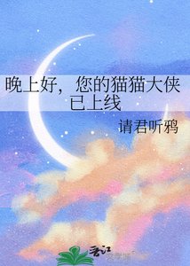 《晚上好,您的猫猫大侠已上线》