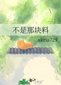 《不是那块料》