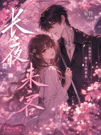 《长夜来客》