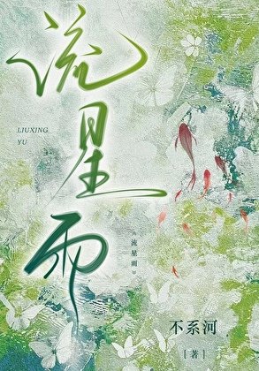 《流星雨》