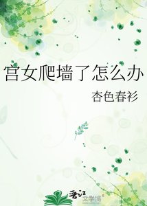 《宫女爬墙了怎么办》