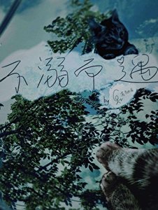 《不溺而遇》