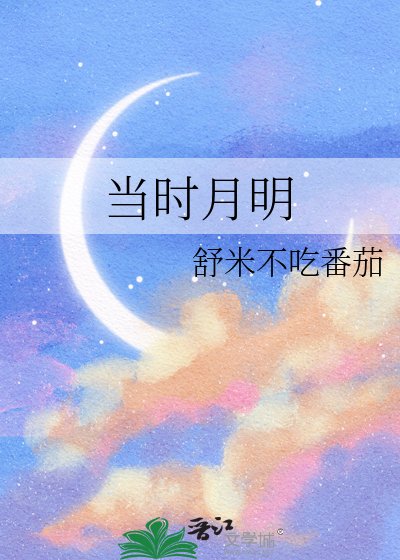 《当时月明》