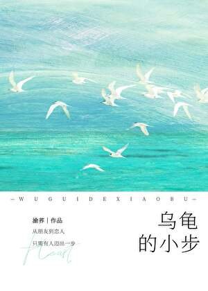 乌龟的小步[破镜重圆]