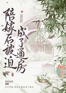 《陪嫁后被迫成了通房》