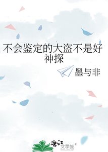 《不会鉴定的大盗不是好神探》