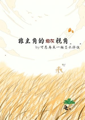 《非主角的炮灰视角》
