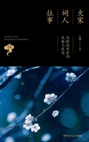 《大宋词人往事:浅斟低唱里的风雅与忧伤(出版书)》