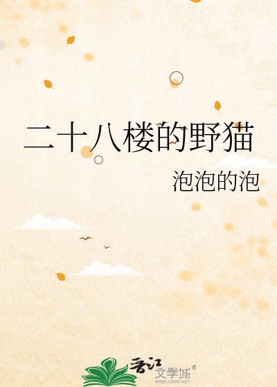 二十八楼的野猫
