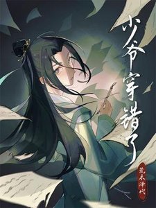 《少爷穿错了》