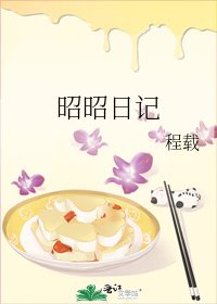 《昭昭日记》