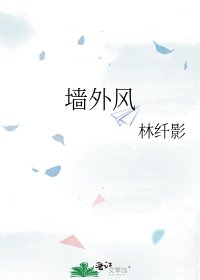 《墙外风》