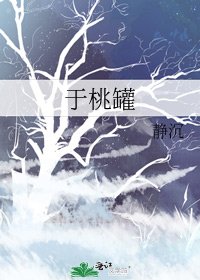 《于桃罐》