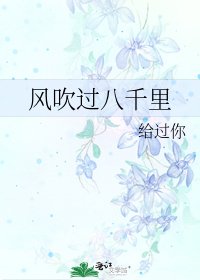 《风吹过八千里》