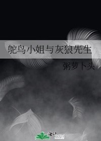 《鸵鸟小姐与灰狼先生》
