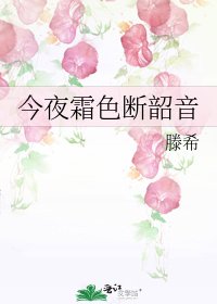 《今夜霜色断韶音》