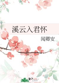 《溪云入君怀》