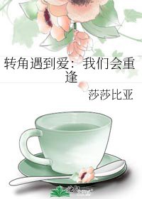 《转角遇到爱:我们会重逢》