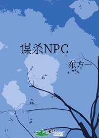 《谋杀NPC》