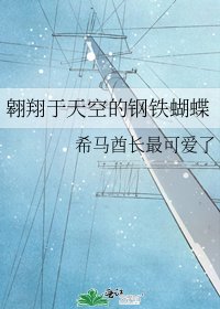 《翱翔于天空的钢铁蝴蝶》