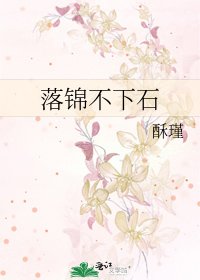 《落锦不下石》