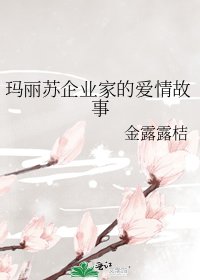 《玛丽苏企业家的爱情故事》