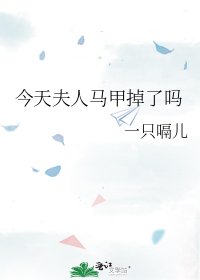 《今天夫人马甲掉了吗》