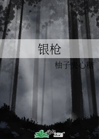 《银枪》
