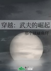 《穿越:武夫的崛起》