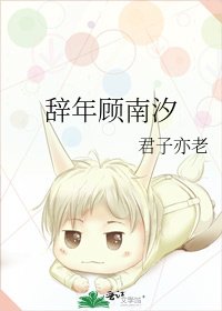 《辞年顾南汐》