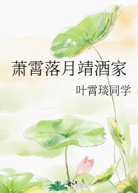 《萧霄落月靖酒家》