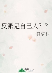 《反派是自己人??》
