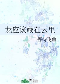 《龙应该藏在云里》