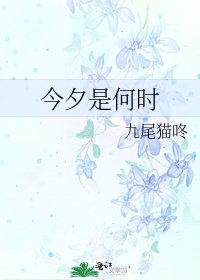 《今夕是何时》