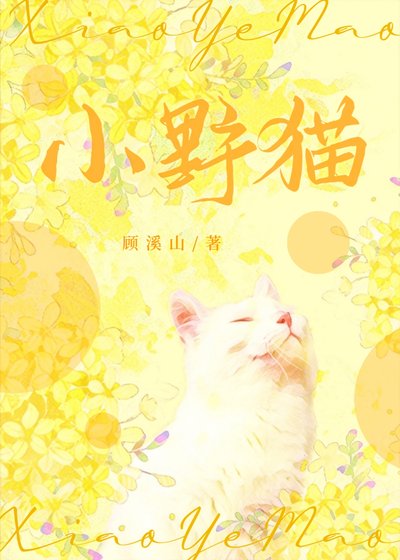 小野猫