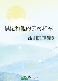 《黑泥和他的云雾将军》