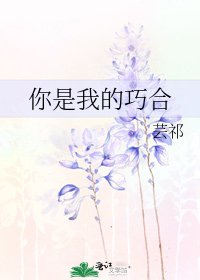 《你是我的巧合》