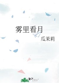 雾里看月