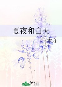 《夏夜和白天》