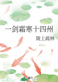 《一剑霜寒十四州》